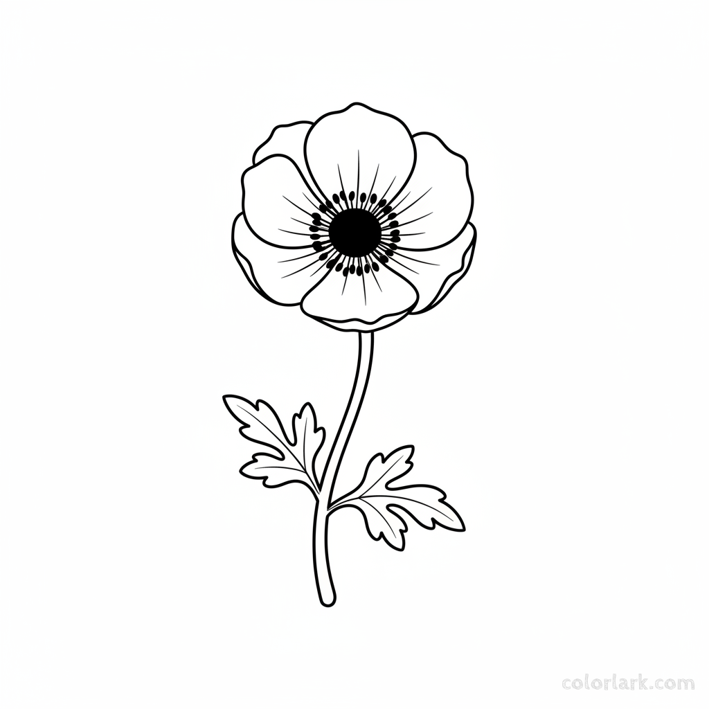 Black and white line art of a simple anemone flower with delicate, cup-shaped petals and a prominent dark central boss, on a slender stem with lobed leaves.