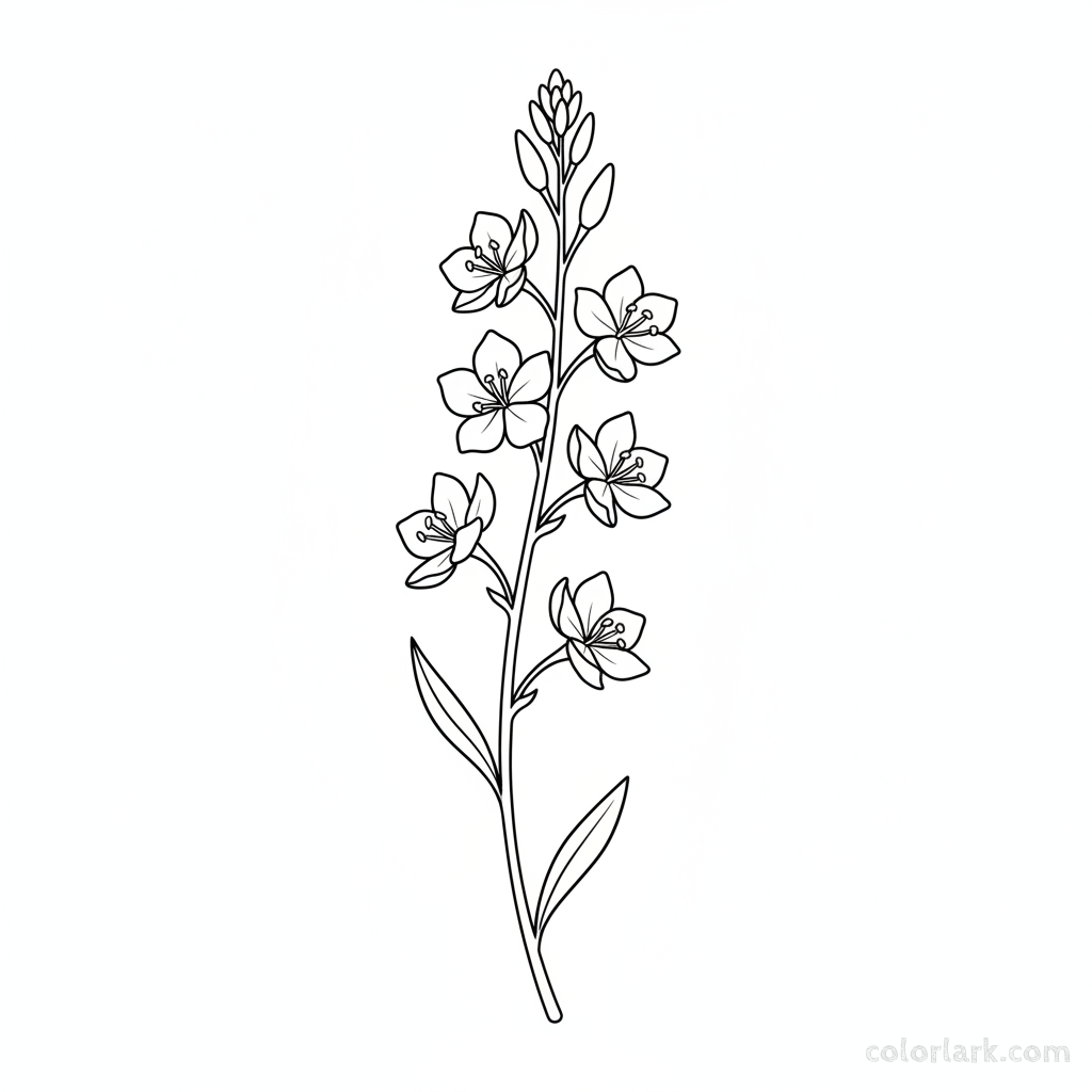 Black and white line art of a gaura flower stalk with several delicate, four-petaled flowers resembling tiny butterflies on a slender stem with narrow leaves.