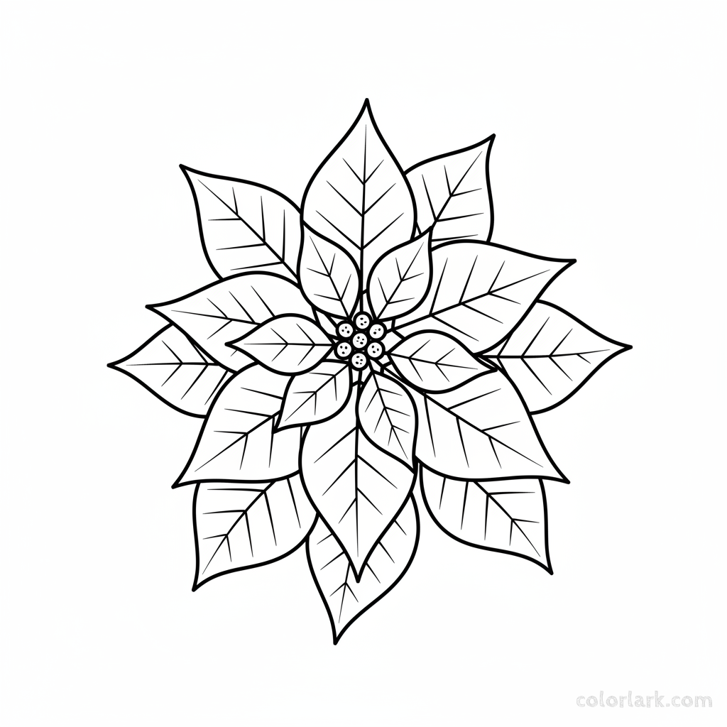 Black and white line art of a simple poinsettia plant with large, pointed bracts and smaller true flowers, and dark green leaves.