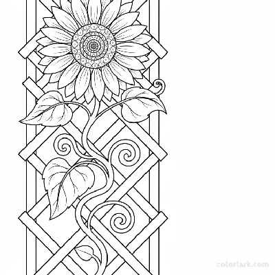 Black and white line art of a sunflower growing on an elegant garden lattice trellis