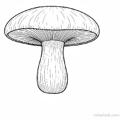 Black and white line art of a realistic Portobello mushroom with detailed cap, gills, and stem, for coloring.