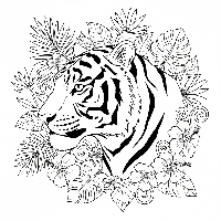 Indian Tiger head profile with jungle background coloring page.