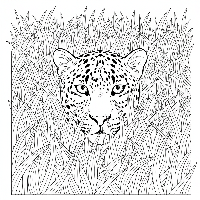 Stealthy Indian leopard hiding in tall grass coloring page
