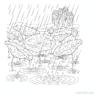 Black and white line art of a rainy day lotus pond with visible ripples and raindrops.