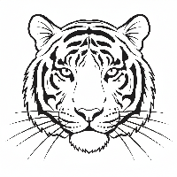 Regal Indian tiger close-up coloring page from Colorlark