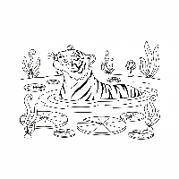 Indian tiger cooling off in a jungle pond coloring page