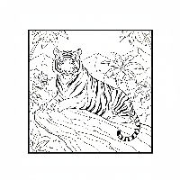 Majestic Indian tiger on rock ledge free printable coloring page