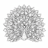 Peacock with intricate mosaic feather designs free printable coloring page