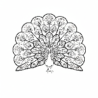 Peacock coloring page with stained glass feather panels.