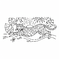 Elegant Indian leopard stretching in morning sun coloring page.