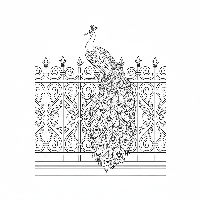 Free printable peacock coloring page on wrought iron fence.