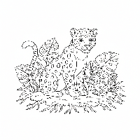 Playful Indian leopard cub with mother coloring page