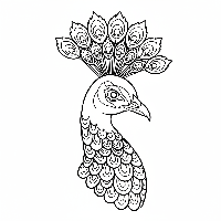 Detailed close-up coloring page of a peacock's regal crest and neck feathers.