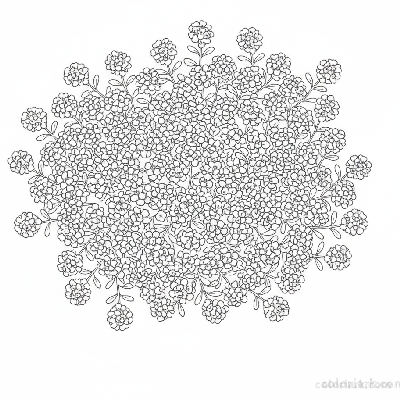 Black and white line art of a dense patch of tiny sweet alyssum flowers forming a low-lying groundcover with minimal leaves.