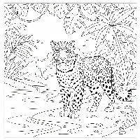 Majestic Indian Leopard on sandy riverbank detailed coloring page