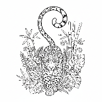 Free printable Indian leopard coloring page with a long, swishing tail.