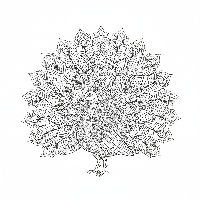 Free printable peacock coloring page with intricate mehndi henna designs.
