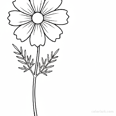 Black and white line art of a single cosmos bipinnatus flower with a long, slender stem, broad petals, clear center, and fern-like leaves.