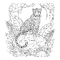 Regal Indian Leopard sitting on a moss-covered boulder free coloring page.