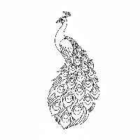 Regal peacock coloring page, detailed, looking over shoulder