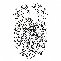 Detailed peacock with flowing vines and berries coloring page