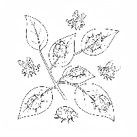 A black-and-white line art illustration showing ten busy red ladybugs in a garden, for learning to count the number 10.