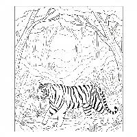 Coloring page of an Indian tiger walking through a misty jungle morning.