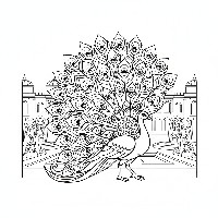 Detailed peacock coloring page in a palace garden setting.