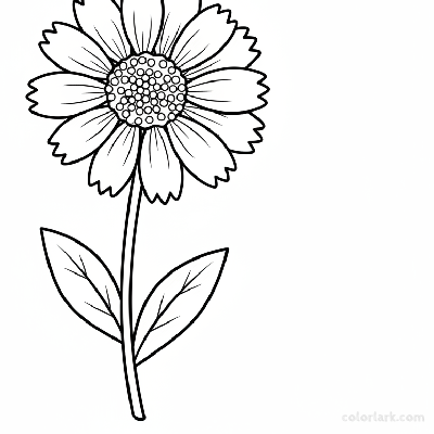Black and white line art of a single Indian blanket flower (Gaillardia) with distinctive ray and disc florets, stem, and leaves.