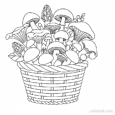 Black and white line art of a woven basket overflowing with a diverse assortment of freshly picked wild mushrooms, for coloring.