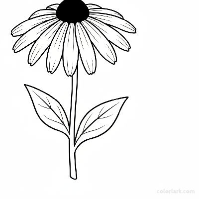 Black and white line art of a simple rudbeckia (Black-Eyed Susan) flower with a prominent dark central cone and radiating petals, on a sturdy stem with leaves.