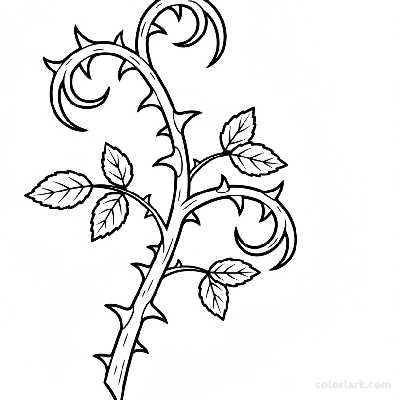 Black and white line art of a rose stem section with highly intricate and prominent thorns and small leaves