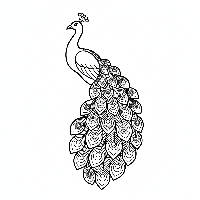 Peacock coloring page with abstract dotwork feather patterns