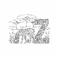 Black and white line art of a striped zebra grazing near the letter Z.