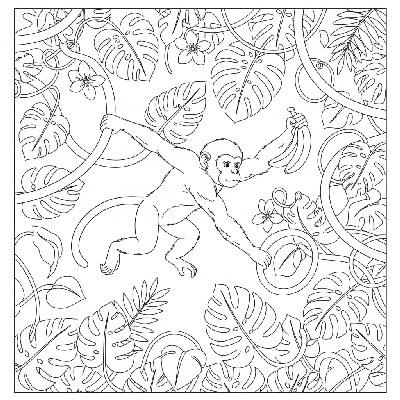 Black and white line art of a strong jungle monkey grabbing a banana from a cluster while jumping between thick vines.
