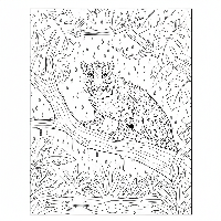 Free printable Indian Leopard in rain-soaked jungle line art coloring page.