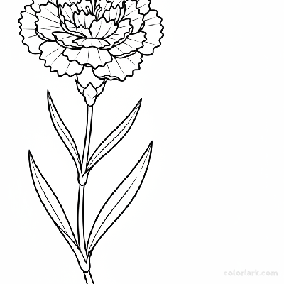 Black and white line art of a simple dianthus (carnation) flower with ruffled, fringed petals on a slender stem with long, narrow leaves.