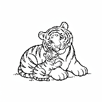 Indian tiger cub drinking milk from mother coloring page