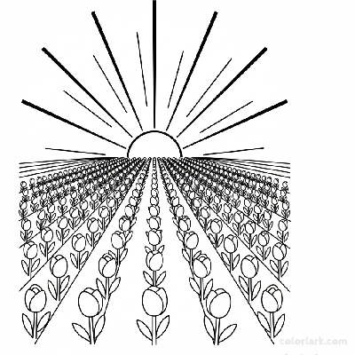 Line art illustration of a sunrise over a vast tulip field