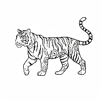 Indian Tiger coloring page with stylized swirls and dots