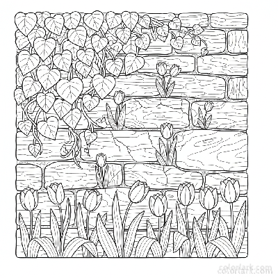 Line art illustration of an ivy-covered stone wall with wild tulips growing at its base