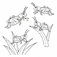 A black-and-white line art illustration depicting four green grasshoppers, used for teaching the number 4 to children.