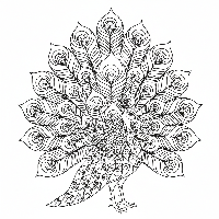 Peacock with geometric feather spirals coloring page for adults