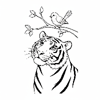 Indian tiger watching a bird on a branch coloring page