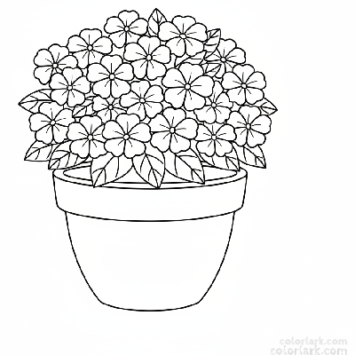 Black and white line art of a round terracotta pot filled with a cluster of impatiens flowers and oval leaves.