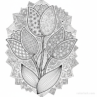 Line art illustration of a tulip filled with intricate Zen Tangle patterns