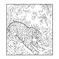 Indian leopard stalking a bird coloring page from a distance