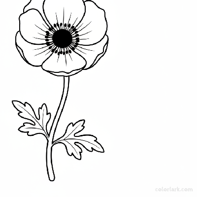 Black and white line art of a simple anemone flower with delicate, cup-shaped petals and a prominent dark central boss, on a slender stem with lobed leaves.