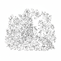 Detailed peacock feathers coloring page - Free printable art for kids & adults.