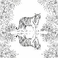Indian Tiger reflected in still jungle water coloring page